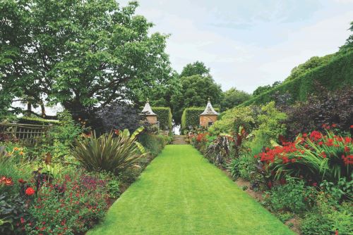 A walkway of grass through a lush garden with various sorts of plants and flowers. 