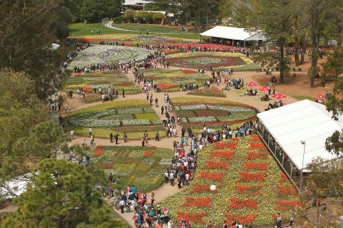 Aerial view of the Floriade Festival set up with lots of people enjoying the flower displays