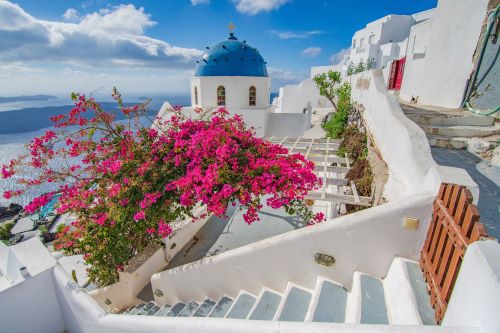 White buildings and stairs with blue rooves and bright pink flowers in the village of Santorini