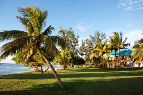A bungalow located right near the beach and surrounded by palm trees