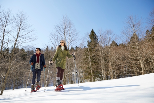 A couple on skis enjoying the snowy landscape in the sunshine.