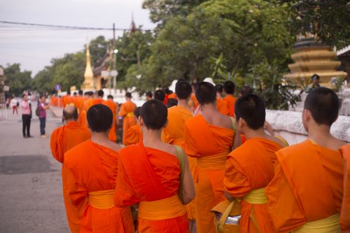 Buddhist monks dressed in orange robes walking down the street to a temple 