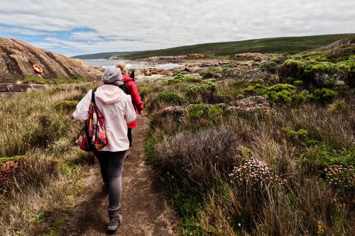 Guests walking through shrubs and exploring Hamelin Bay with the rugged coastline in the background