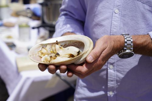 Coral Expeditions passengers sampling Abalone served in an Abalone shell 