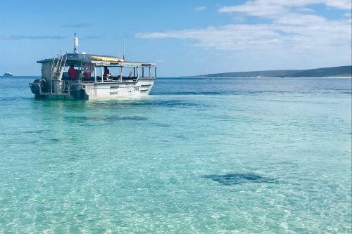 A tender boat with guests spotting stingrays in shallow turquoise water