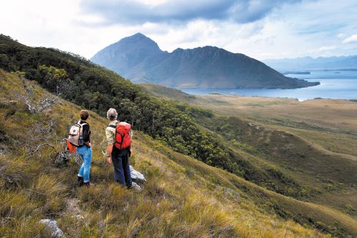 A couple of hikers standing in the middle of green shrubs looking over to Fluted Cape Bruni Island