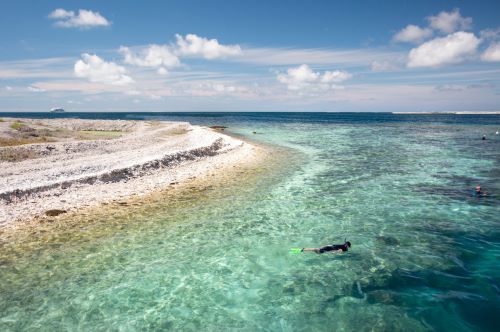 Some people snorkelling in the crystal-clear water close to the shore