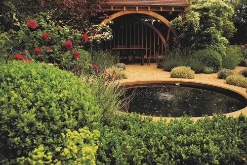 Lush garden with roses and koi pond in the middle and seating are in the back