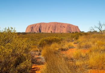 Red Uluru against the blue sky surrounded by bush and scub