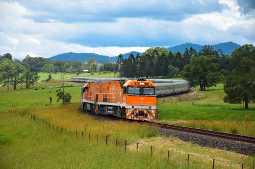 The Great Southern train driving through lush nature in New South Wales