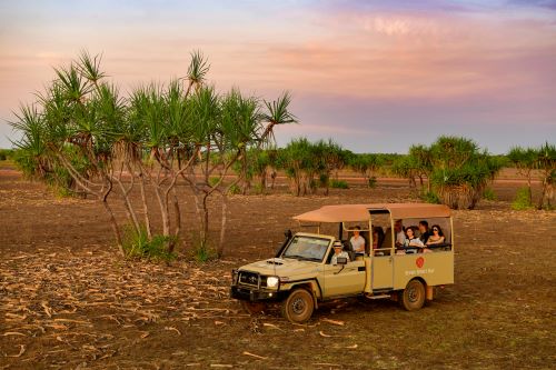 A small group of people sitting in a safari style vehicle driving through the bush 