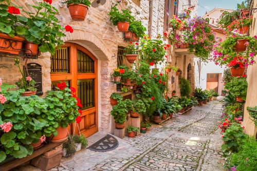 Flower pots scattered along walls with bright flowers, down a cobblestone alleyway in Tuscany