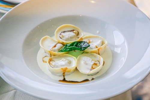 Close up of a pasta dish in bechamel sauce with a green basil leave on top 