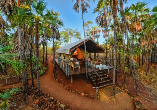 A luxury safari glamping tent in the middle of a palm tree garden at Ngauwudu Safari Camp