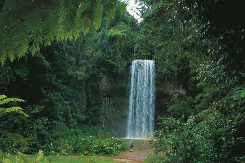 A traveller wearing a head is standing at the Millaa Millaa Falls surrounded by lush nature 