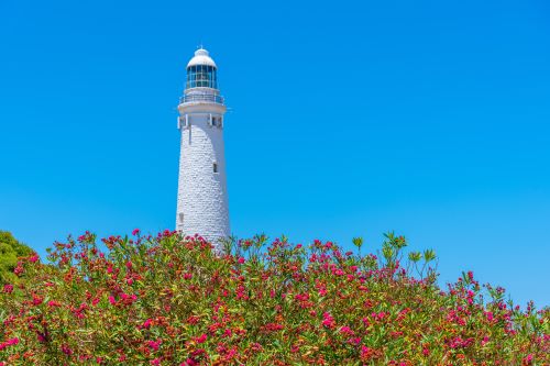 A white lighthouse on Rottnest Island with wildflowers in the foreground