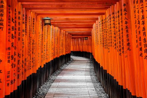 A pathway leading through famous bright red torii gates with japanese writing on each 