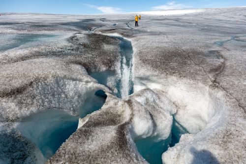 Quark passengers walking on Greenland ice sheet