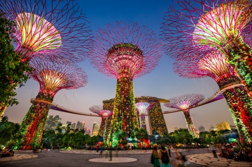 A low angle photo of the Gardens By the Bay in Singapore with its towering futuristic tree structures lit up against an evening sky.