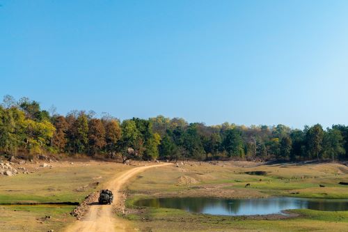 A jeep driving through South Africa along waterholes and herds of animals 