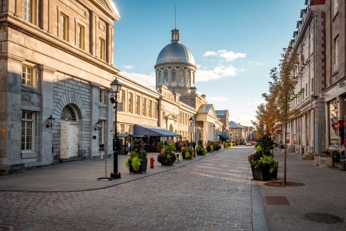 A cobblestone street lined with historical buildings and autumn trees in Old Montreal 