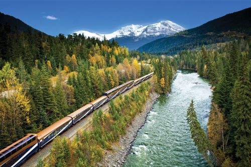 The Rocky Mountaineer train passing through a forest along a rushing river towards snowy mountain ranges 