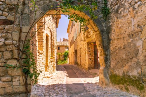 An archway over a cobblestone pathway with some greenery on the sides 