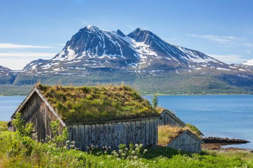 A small shack covered in greenery with a tall snowcapped mountain showing in the background 