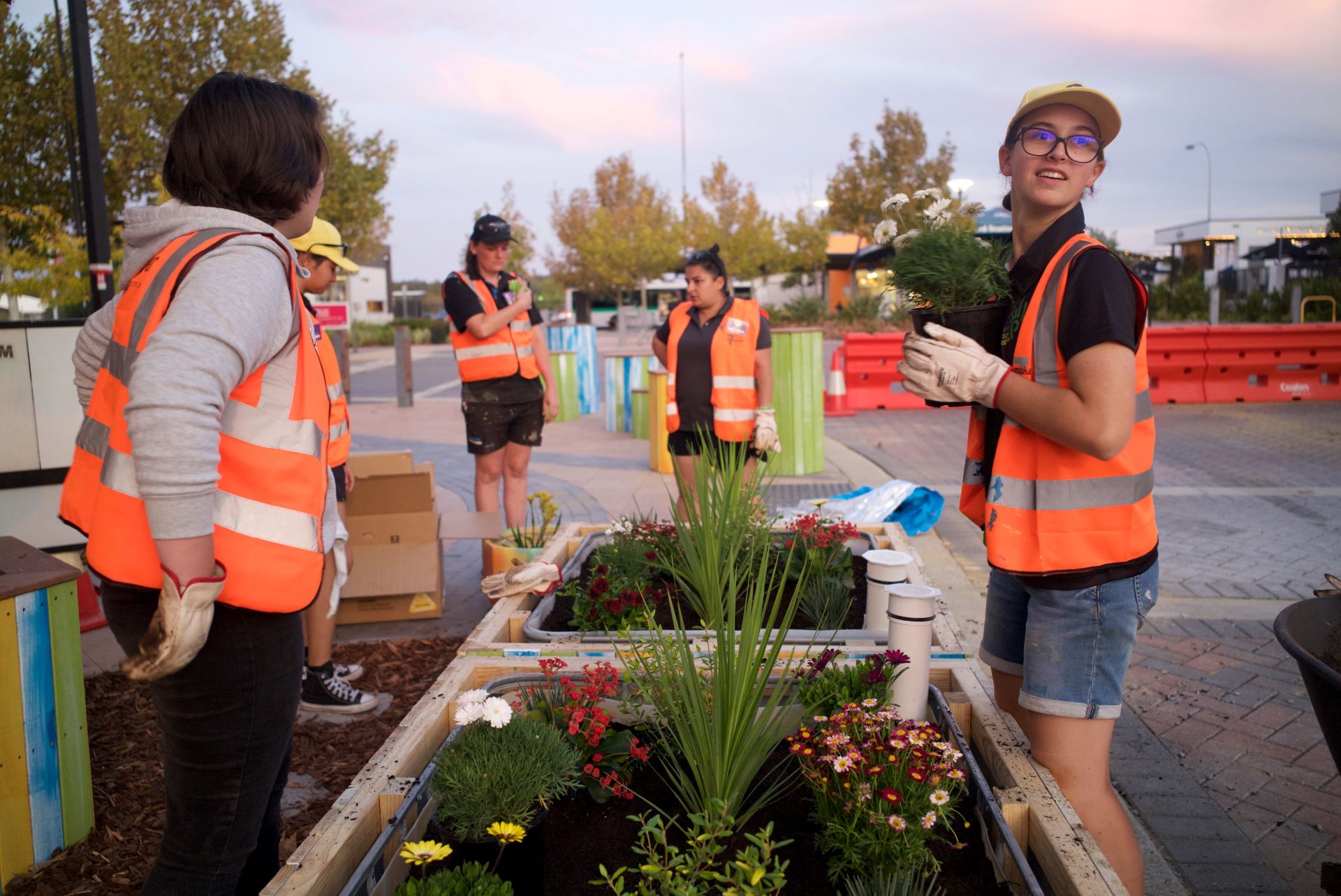 Young people plant flowers and other flora in planter boxes along The Strand for the Wellard 7 Day Makeover
